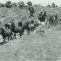Lane Ranch & Co.