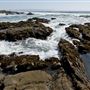 Estero Bluffs State Park (SP)
