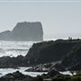 Hearst San Simeon State Park (SP)