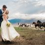 Bufford Ranch, managed by Golden Ranch Estates
