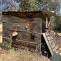 Bufford Ranch, managed by Golden Ranch Estates