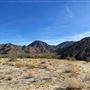The Living Desert Zoo and Botanical Gardens