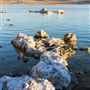 Mono Lake Tufa State Natural Reserve (SNR) / South Tufa Lake - Inyo National Forest (NF)