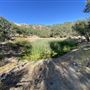 Bufford Ranch, managed by Golden Ranch Estates