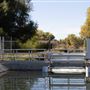 Gray Lodge Wildlife Area - California Department of Fish & Wildlife (CDFW)