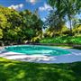 Vintage Hollywood Vibes – Secluded Palm-Lined Mid-Century Pool Oasis Wrapped In Lush Greenery – A Filmmaker’s Dream!