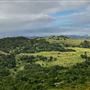 Fort Ord National Monument
