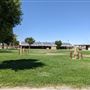 San Bernardino County Fair - 28th DAA