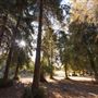 Carbon Canyon Regional Park