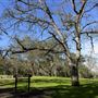Lake Del Valle State Recreation Area (SRA) - East Bay Regional Park District