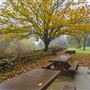 Colusa-Sacramento River State Recreation Area (SRA)