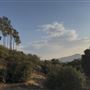 Agua Dulce Horse Ranch