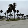Venice Beach, Boardwalk, Pier & Recreation Center