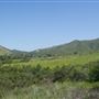 Wildwood Canyon Park Property