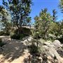 Storrier Stearns Japanese Garden