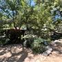 Storrier Stearns Japanese Garden