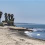 San Onofre State Beach (SB)