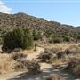 Yucca Valley