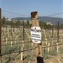 North Fork Ranch - Ventura County