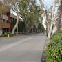 California State University, Long Beach - CSULB