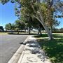 Calas Park - City of Carson