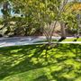 College of the Canyons