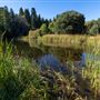 Palomar Mountain State Park (SP)