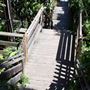 Filbert Steps