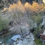Cattle Canyon Bridge - Angeles National Forest