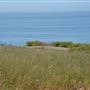 El Pescador State Beach @ Robert H. Meyer Memorial State Beach (SB) - CFC