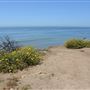 El Pescador State Beach @ Robert H. Meyer Memorial State Beach (SB) - CFC