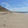 El Pescador State Beach @ Robert H. Meyer Memorial State Beach (SB) - CFC