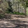 Descanso Gardens