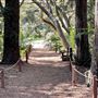 Descanso Gardens