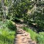 Descanso Gardens