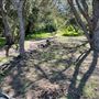 Descanso Gardens