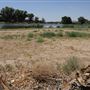 Mojave Narrows Regional Park