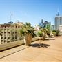 Savanna Rooftop