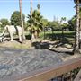 La Brea Tar Pits - George Page Museum
