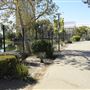 La Brea Tar Pits - George Page Museum