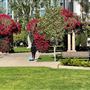 Grand Hope Park