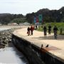 Presidio Trust - BRAC