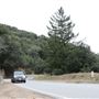 Glendora Ridge Road - Angeles National Forest
