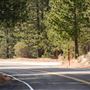 Angeles Crest Highway - SR2