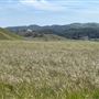Big Sky Movie Ranch