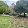 La Brea Tar Pits - George Page Museum