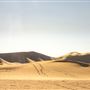Dumont Dunes - Bureau of Land Management - BLM