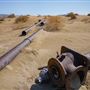 Olancha Sand Dunes - Bureau of Land Management - California Desert District - Ridgecrest Field Office - BLM - Off Highway Vehicle Area - OHV