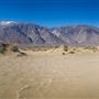 Olancha Sand Dunes - Bureau of Land Management - California Desert District - Ridgecrest Field Office - BLM - Off Highway Vehicle Area - OHV