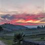 California Lavender Honey Farm